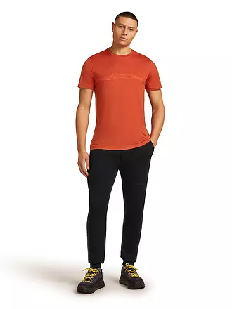 ICEBREAKER | Herren Funktionsshirt Mount Pulse 150 Tech | 